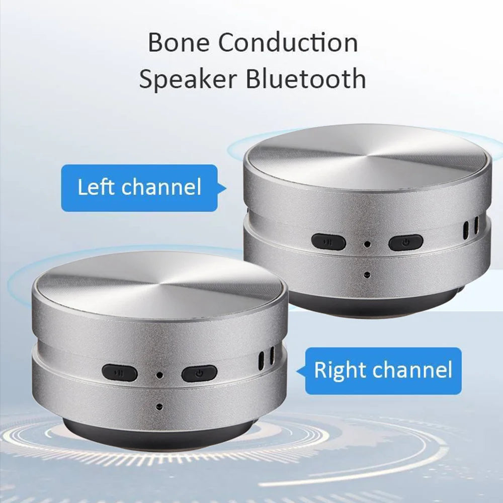 Hot Hummingbird Bone Conduction Speaker With FM Radio Bluetooth-Compatible TWS Wireless Stereo Dual Sound Audio Box Mini Speaker